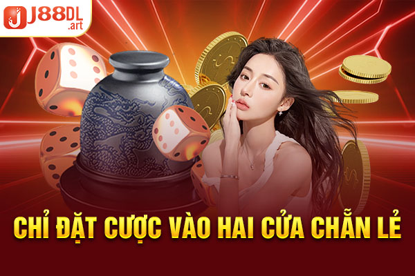 Chỉ đặt cược vào hai cửa chẵn lẻ