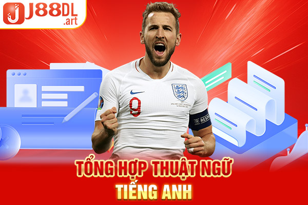 Tổng hợp thuật ngữ tiếng Anh